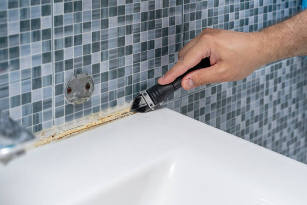 Best Mold Inspection  in Brainerd, MN